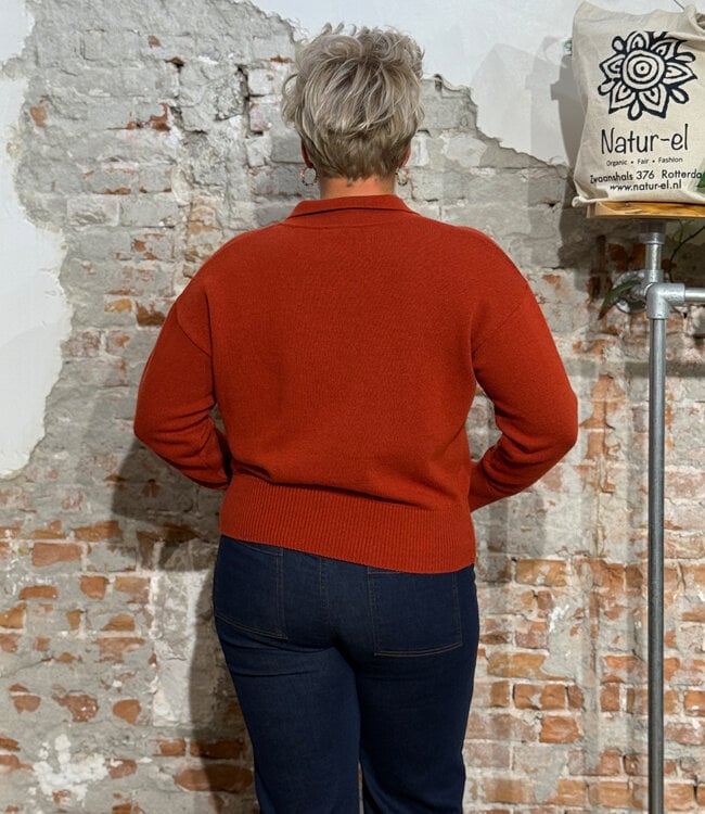 LIVING CRAFTS v-hals trui ALINA BURNT RED biokatoen en wol