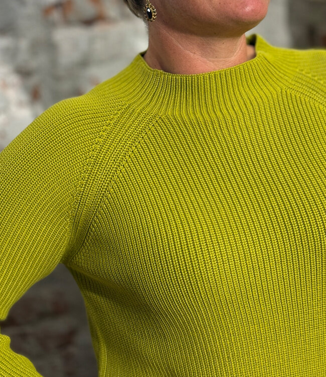 MADNESS trui opstaande kraag JET AVOCADO biologisch katoen