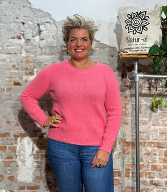 Madness MADNESS effen wollen trui CATO PINK alpaca katoen