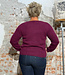 LES RACINES DU CIEL 100% alpaca trui met v-hals DORIANE PLUM