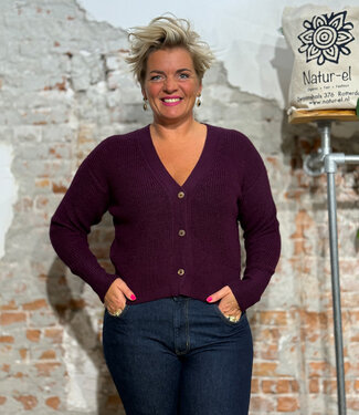Anukoo ANUKOO wollen v-hals vest 100% alpaca MEREL FUCHSIA