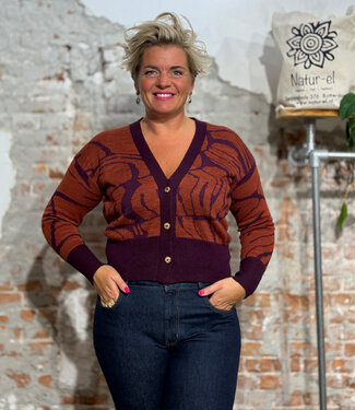 Anukoo ANUKOO wollen vest ZEBRA MASALA 100% alpaca