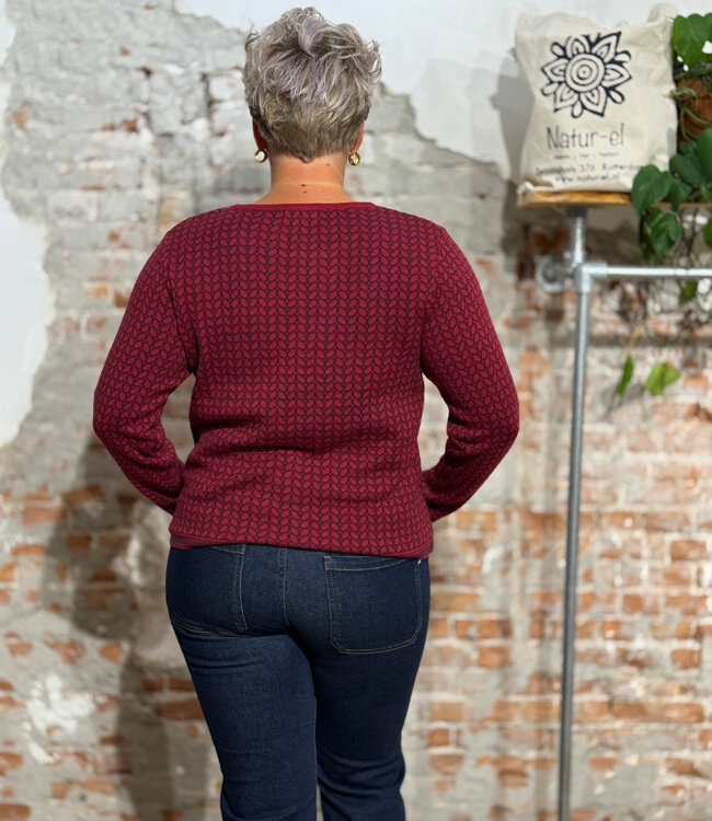 HIMALAYA Trui BIBI LEAF van biologisch katoen jacquard