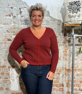 Flomax FLOMAX puur wollen v-hals vest TILDA POPPY RED