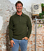 HARLEY Wollen henley trui PINE van pure wol