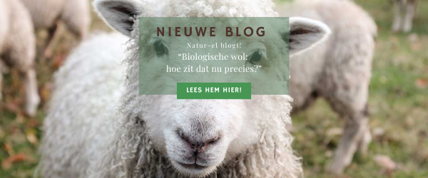 Biologische wol: hoe zit dat nu precies?