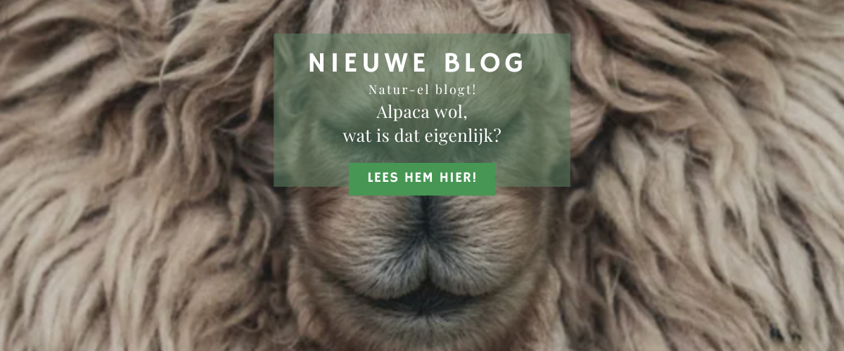 Alpaca wol, wat is dat eigenlijk? 