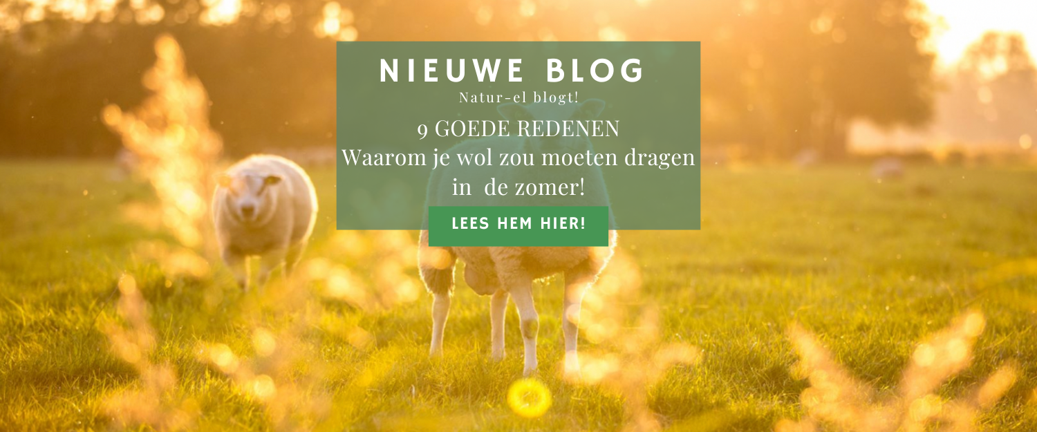 Waarom wol perfect is voor de zomer!