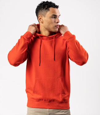 Living Crafts LIVING CRAFTS capuchon trui HOODIE SUNSET biologisch katoen