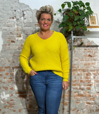 Madness MADNESS v-hals trui MAUD YELLOW alpaca katoen