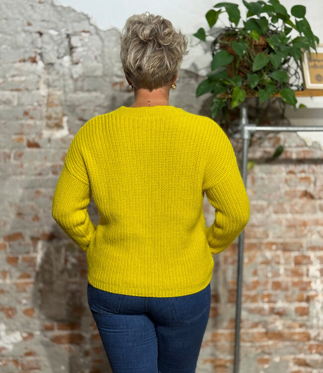 MADNESS v-hals trui MAUD YELLOW alpaca katoen