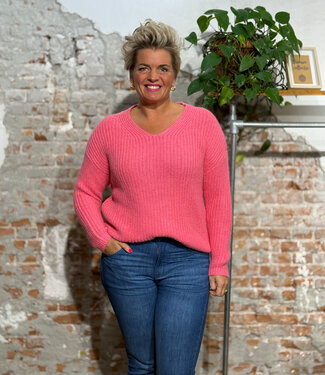 Madness MADNESS v-hals trui MAUD PINK alpaca katoen