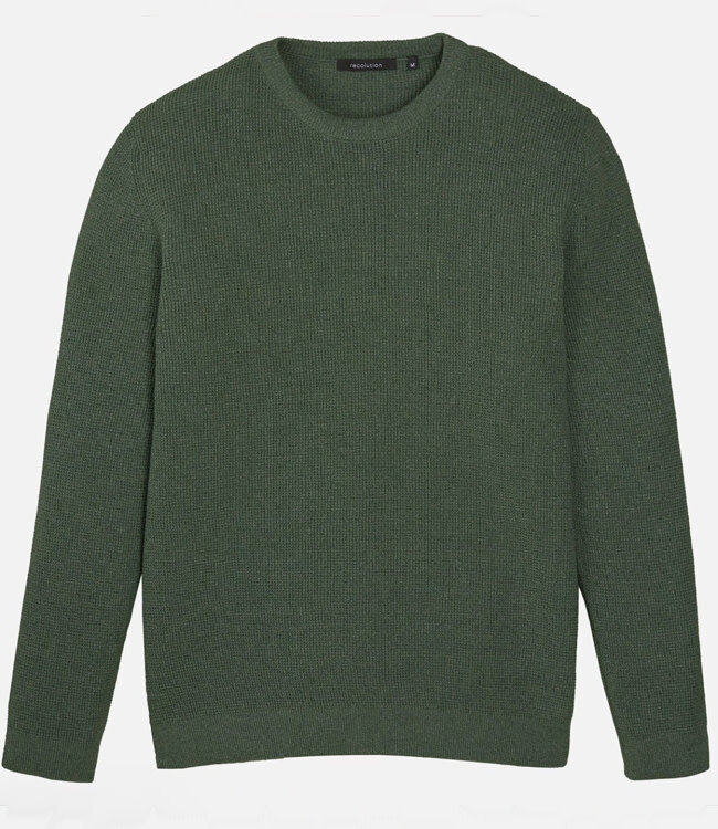 RECOLUTION trui biologisch katoen BACOPA GREEN