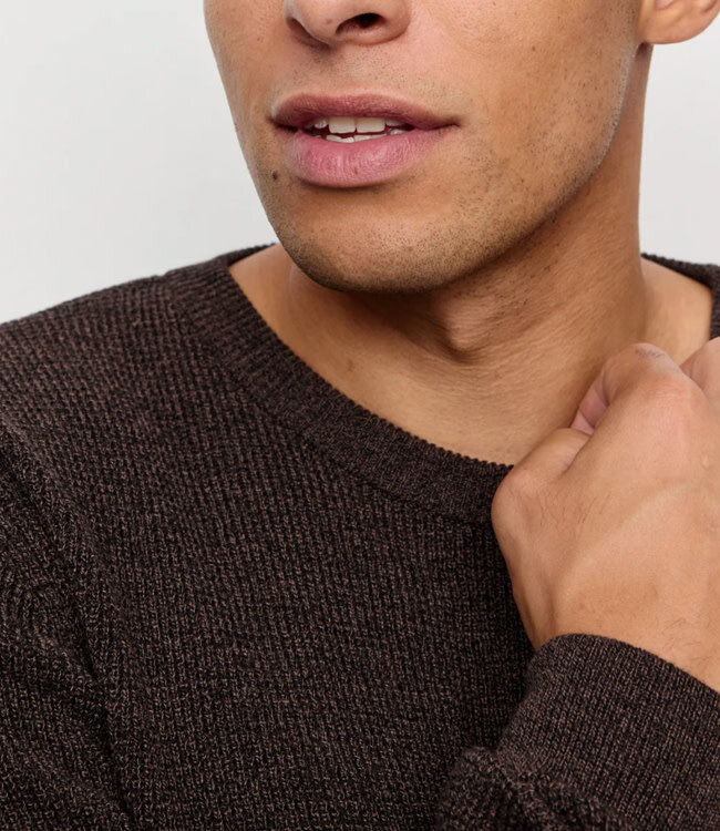 RECOLUTION trui biologisch katoen BACOPA TAUPE