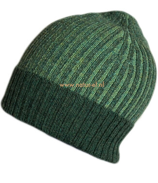 De Colores DE COLORES 100% baby alpaca MUTS TWO TONE groen 66