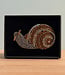 FAIRTRADE broche SNAIL met pailetten en kralen