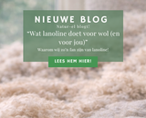 Wat lanoline doet voor wol (en voor jou)