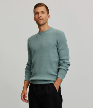 Recolution RECOLUTION trui biologisch katoen LUPIN PINE