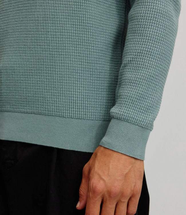 RECOLUTION trui biologisch katoen LUPIN PINE