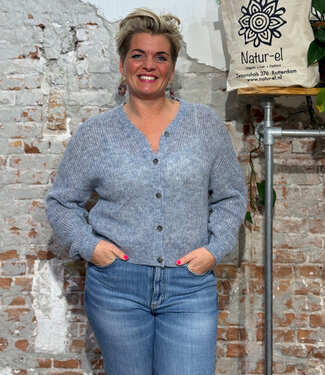 Alma & Lovis ALMA LOVIS wollen vest ELKE PASTEL BLUE van alpaca