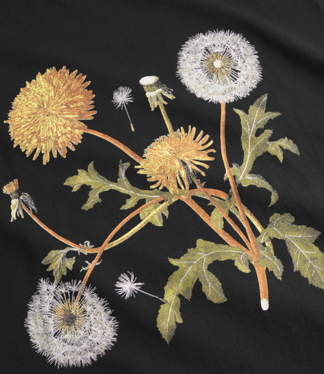 DEDICATED shirt VISBY DANDELION biologisch katoen