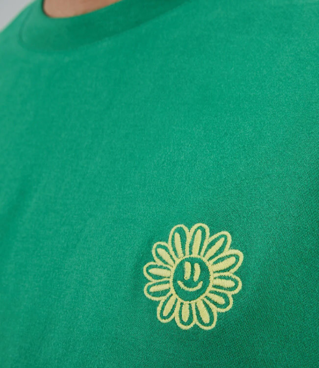 BRAVA t-shirt van biologisch katoen GREEN SMILE