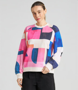 Dedicated DEDICATED sweater RHINA BLOCKS van biologisch katoen