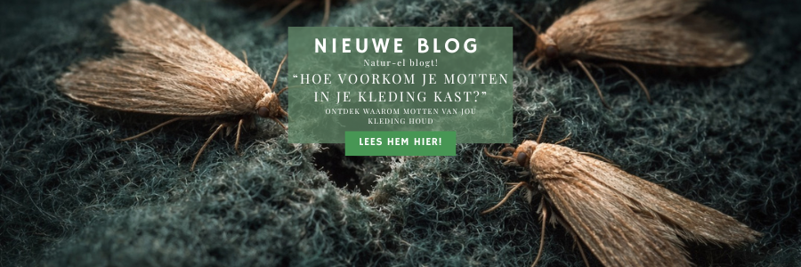 Hoe voorkom je motten in je kleding kast?