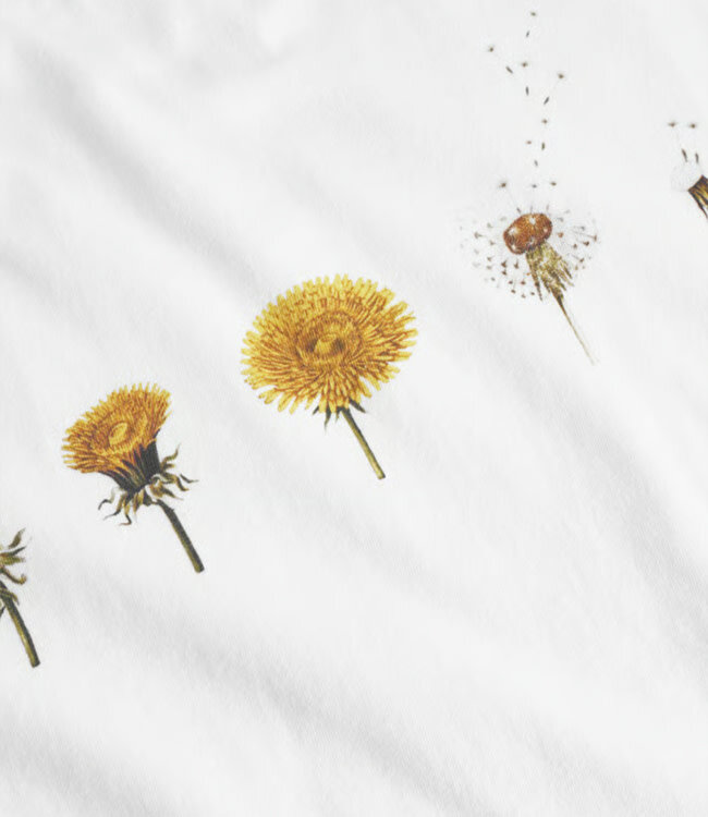 DEDICATED shirt VISBY DANDELION WHITE biologisch katoen