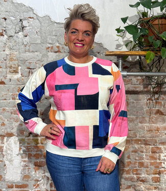Dedicated DEDICATED sweater RHINA BLOCKS van biologisch katoen