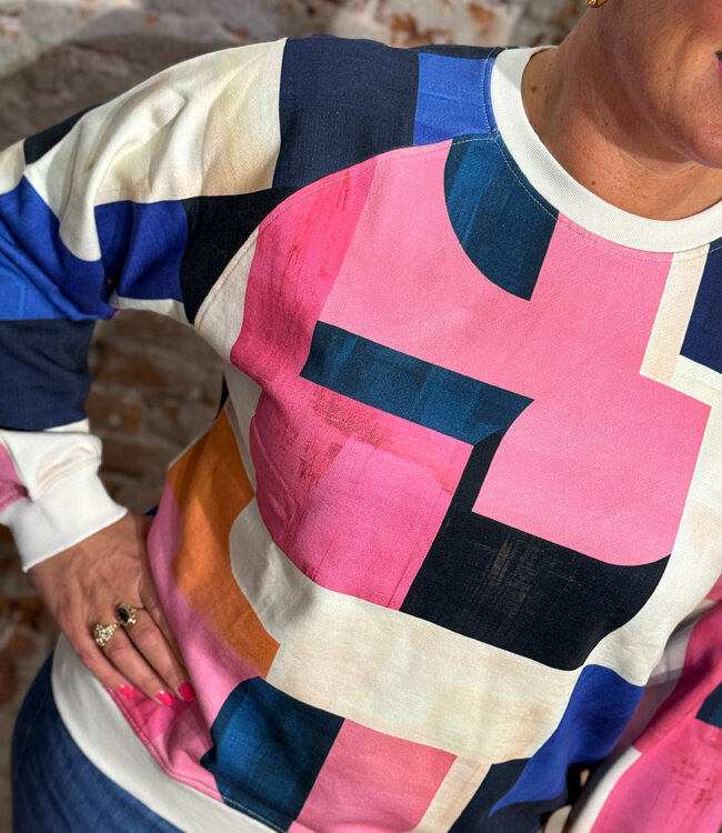 DEDICATED sweater RHINA BLOCKS van biologisch katoen