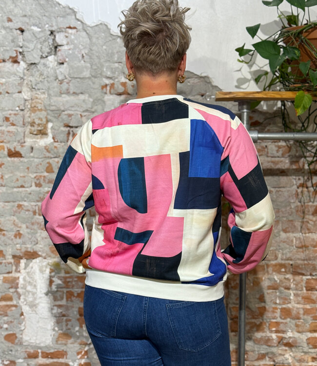 DEDICATED sweater RHINA BLOCKS van biologisch katoen