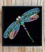 FAIRTRADE broche LIBELLE met pailetten en kralen