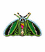 FAIRTRADE broche MOT GROEN met pailetten en kralen