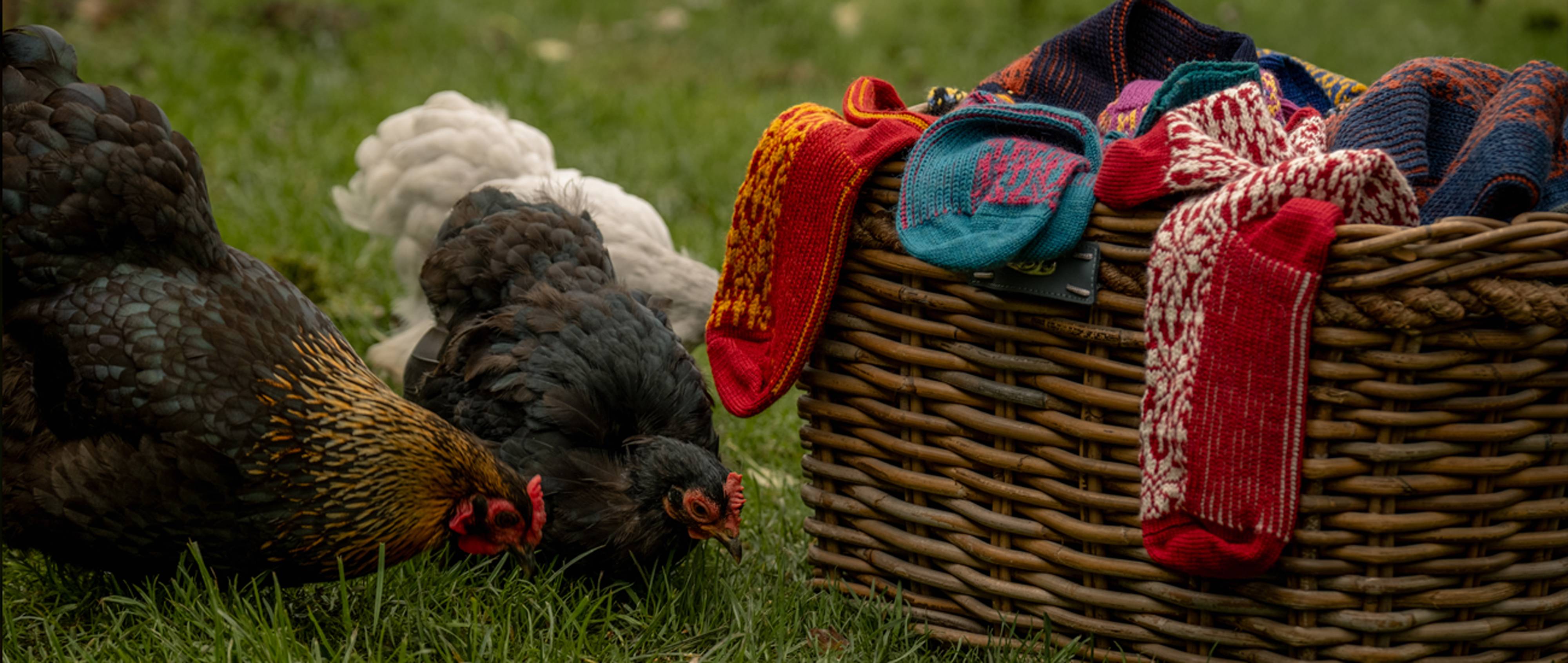 De grootste collectie pure wollen sokken