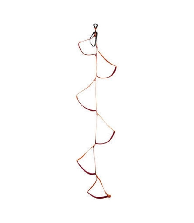 Black Diamond Etrier Six-Step