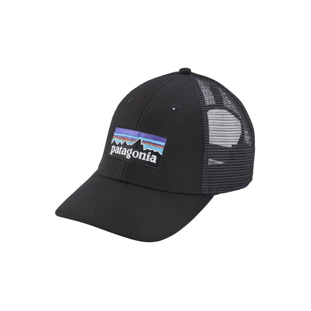 patagonia mesh cap