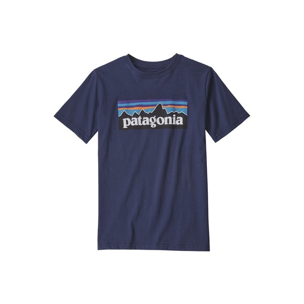 boys patagonia tshirt