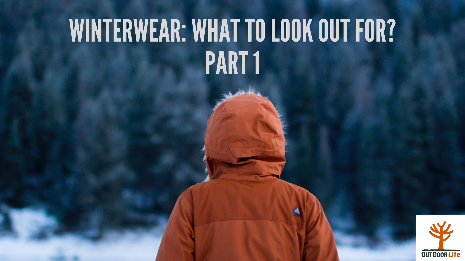 The Beginner's Guide to Winterwear Part 1