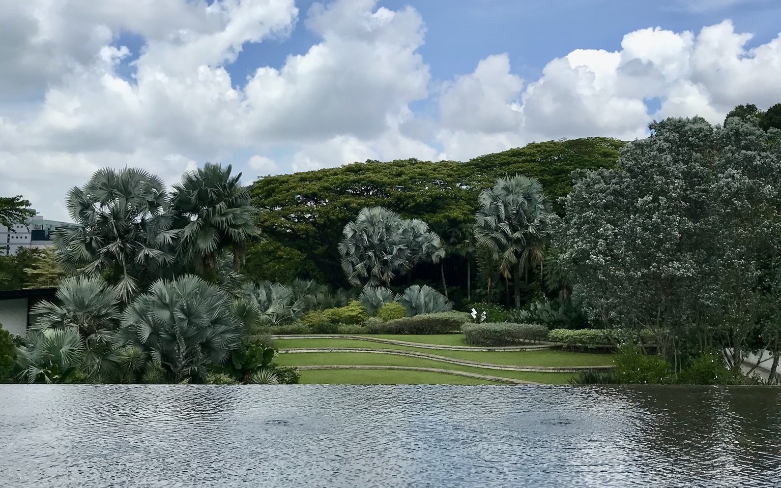 Hort park and the beauty of the gardens