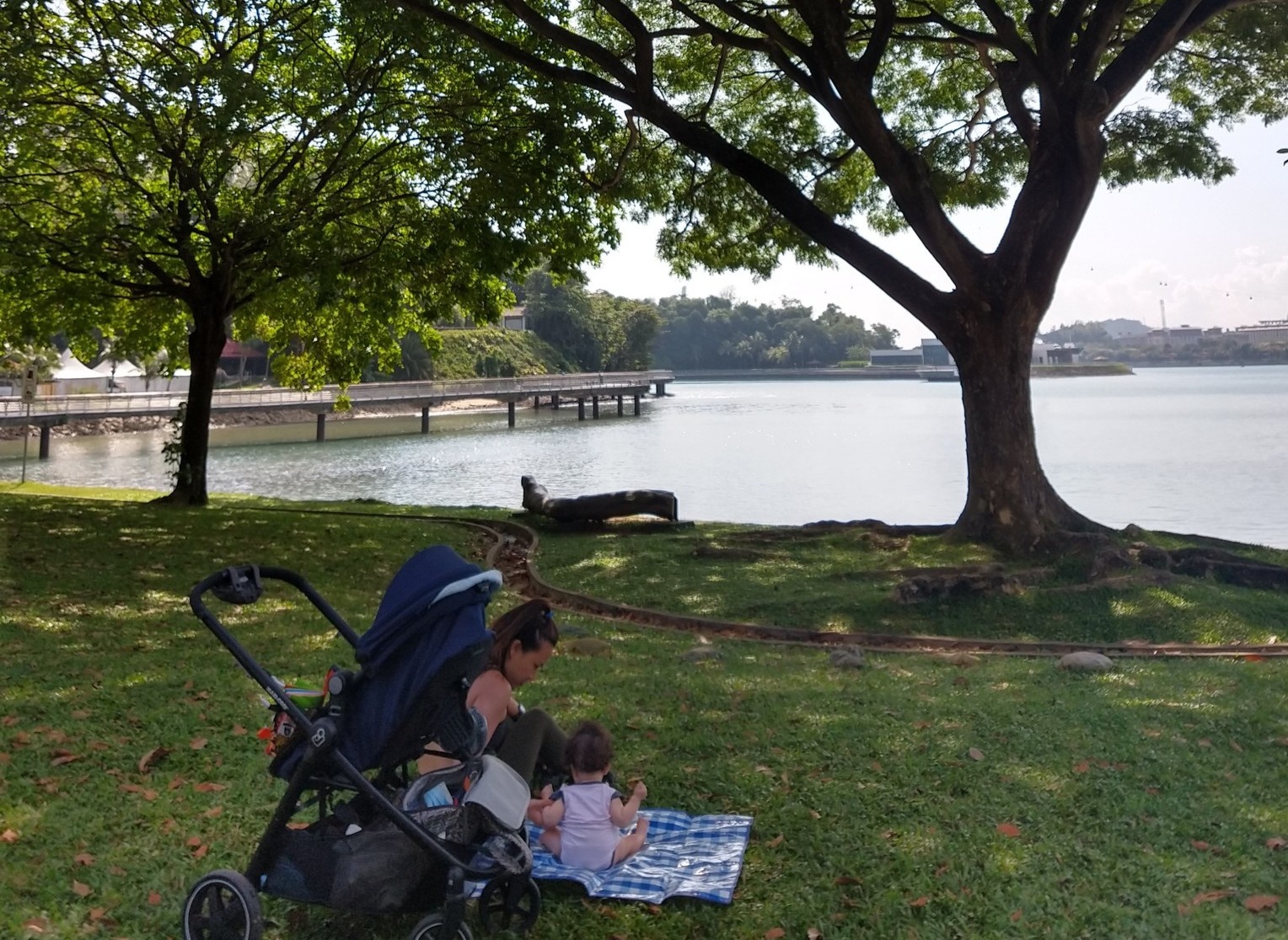 One of the prettiest picnic areas of Singapore