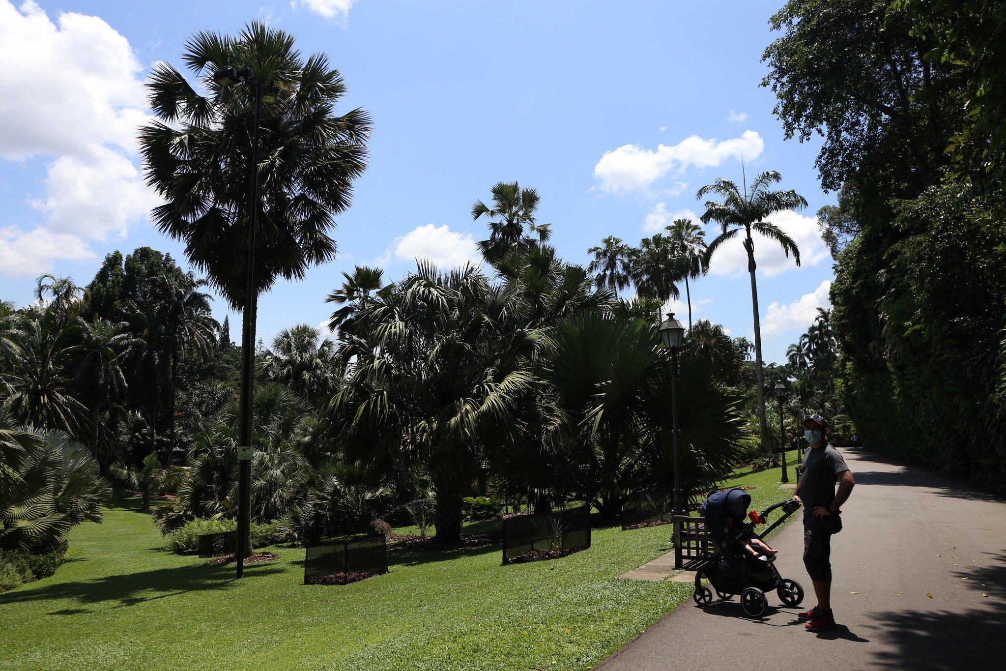 Pushing around the stroller at Botanical Garden