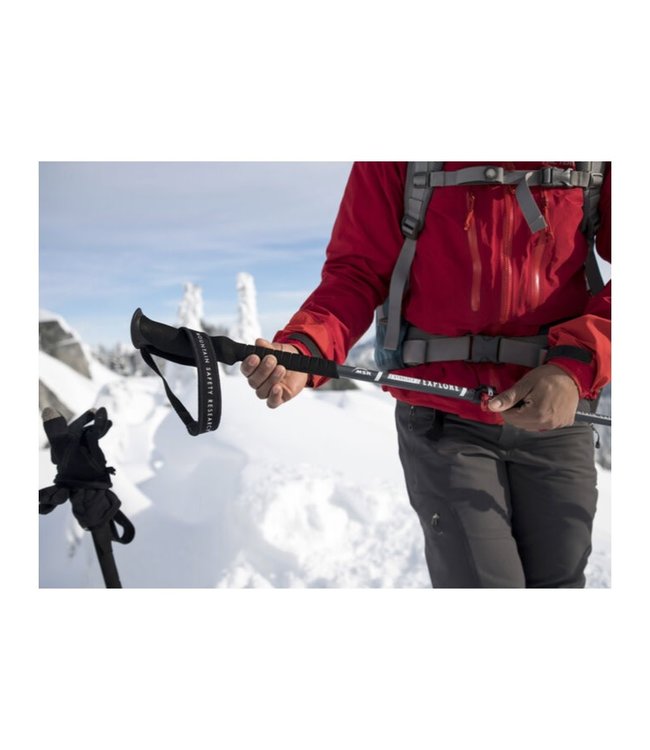 MSR Poles Dynalock Explore AI (3-sec)