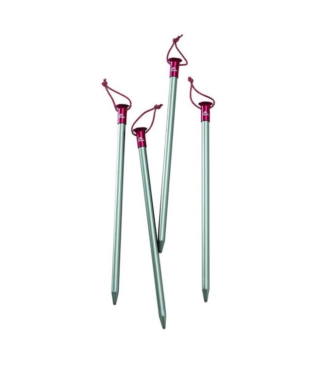 MSR Core Stake 9" Kit