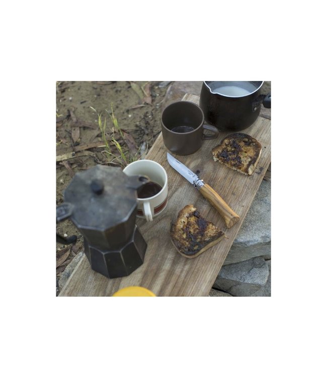 Opinel No.6 Traditional SS