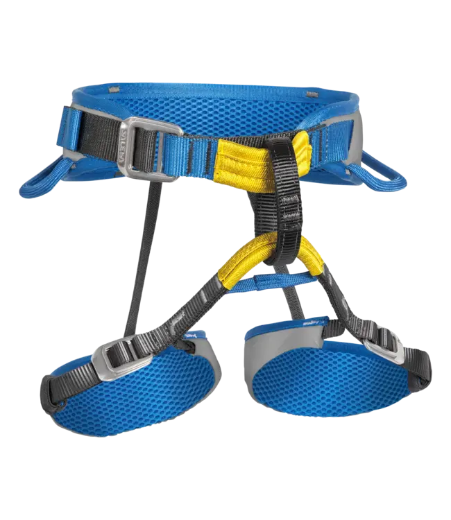 Salewa ortles harness hot sale