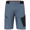 Salewa Salewa Pedroc 3 Dst M Cargo Shorts