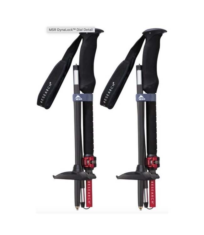 MSR Poles DynaLock Ascent Carbon