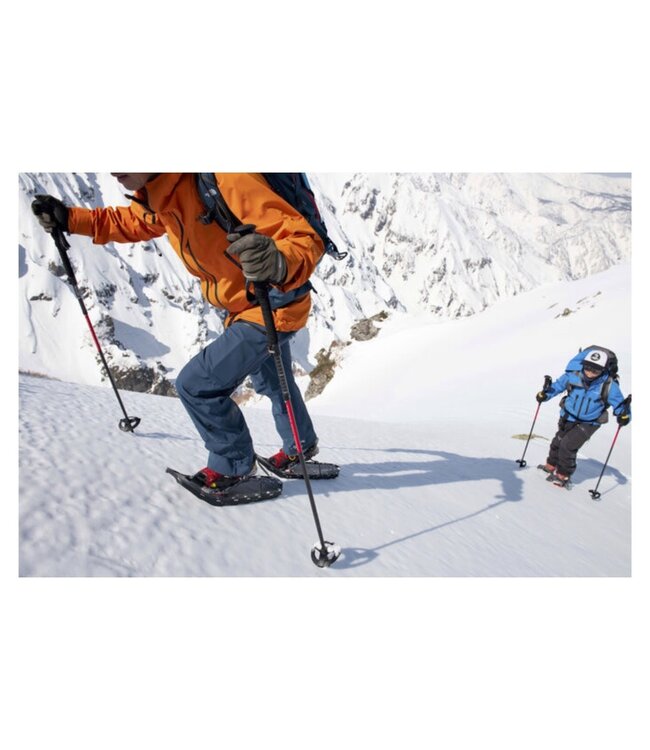 MSR Poles DynaLock Ascent Carbon 120cm Outdoor Life Singapore