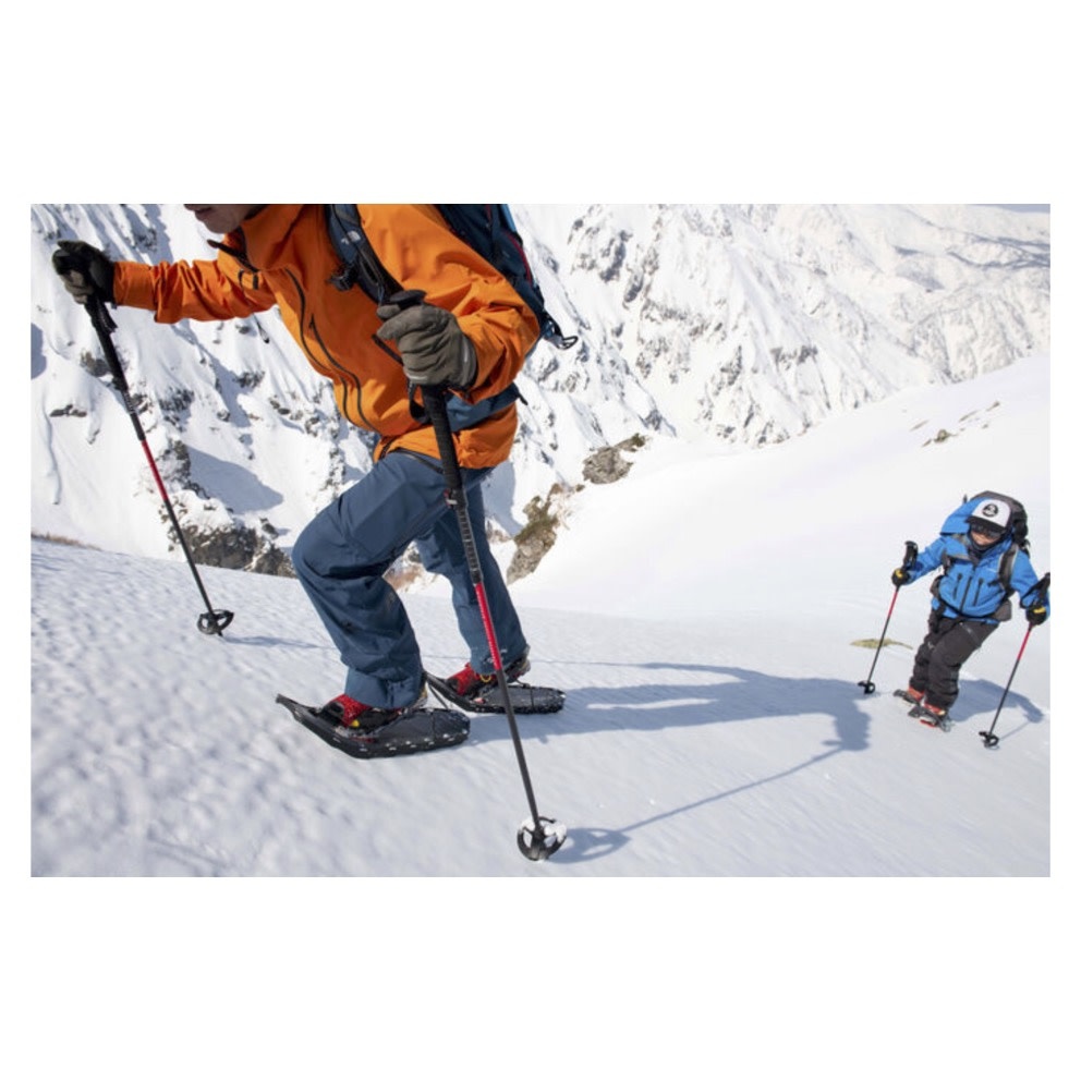 MSR Poles DynaLock Ascent Carbon 120cm Outdoor Life Singapore